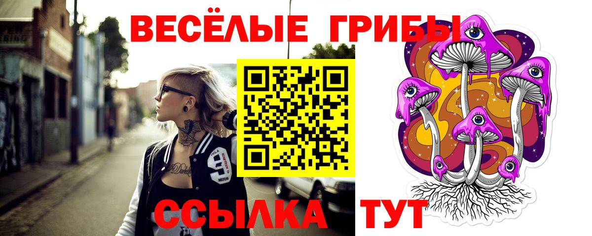 Галлюциногенные грибы прущие грибы Симферополь