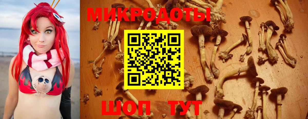 Галлюциногенные грибы GOLDEN TEACHER  Вход с VPN  Симферополь  где купить наркоту  Псилоцибиновые грибы Cubensis 